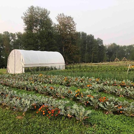 Bodhi Farms Ξενοδοχείο Μπόουζμαν Εξωτερικό φωτογραφία
